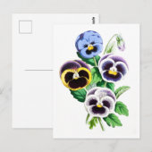 Stiefmütterchen Vintage-Botanik-Postkarte Postkarte (Vorne/Hinten)