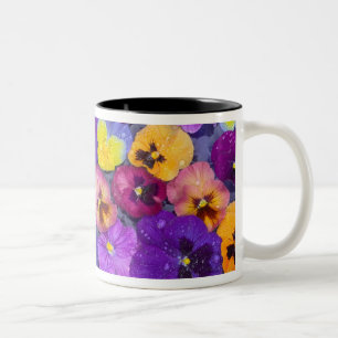 Stiefmütterchenblumen schwimmend im Vogelbad mit T Zweifarbige Tasse