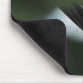 Stieglitz füttert Küken Mousepad (Ecke)