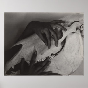 Stieglitz Georgia O’Keeffe Hände Pferdeschädel Fot Poster