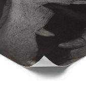 Stieglitz Georgia O'Keeffe Hands Horse Skull Foto Poster (Ecke)