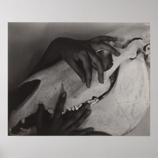 Stieglitz Georgia O'Keeffe Hands Horse Skull Foto Poster (Vorne)