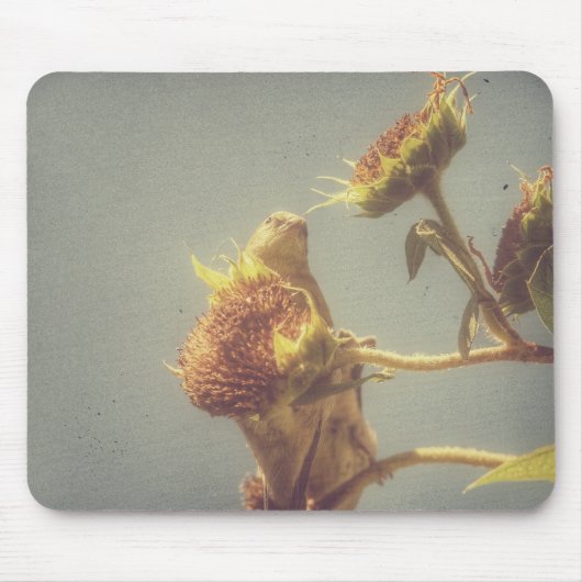 Stieglitz Mousepad (Vorne)