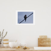 Stieglitz Poster (Küche)