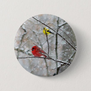 Stieglitz und Kardinal Button