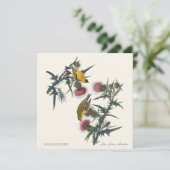 Stieglitze von John James Audubon (Stehend Vorderseite)