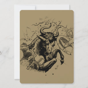 Stier Constellation Hevelius 1690 Gravur