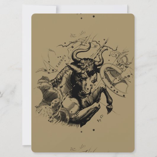 Stier Constellation Hevelius 1690 Gravur (Vorderseite)