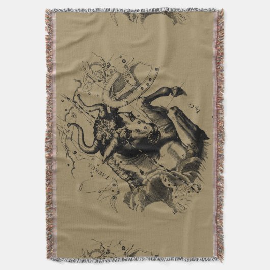 Stier Constellation Hevelius 1690 Gravur Decke (Vorderseite Vertikal)