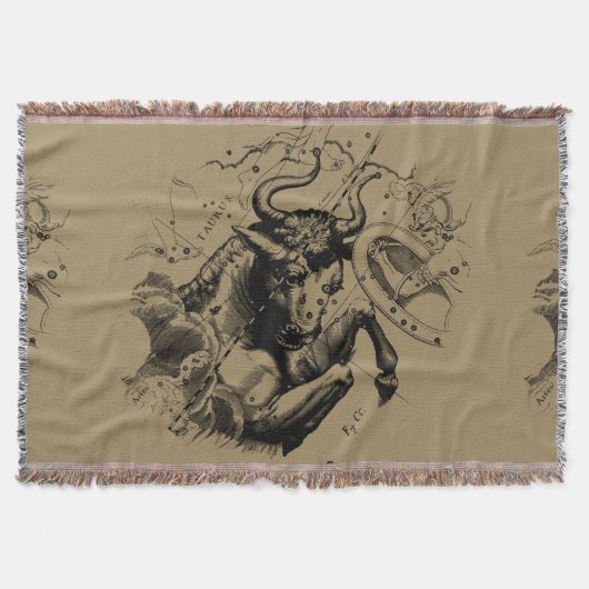 Stier Constellation Hevelius 1690 Gravur Decke (Vorderseite)