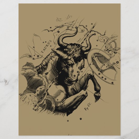 Stier Constellation Hevelius 1690 Gravur Flyer (Vorne)
