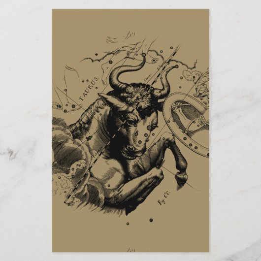 Stier Constellation Hevelius 1690 Gravur Flyer (Vorne)