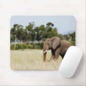 Stier des afrikanischen Elefanten Mousepad (Mit Mouse)