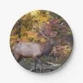 Stier-Elch-Herbst-Holz Pappteller (Vorderseite)