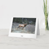 Stier-Elch-Stillstehen Karte (Rückseite)