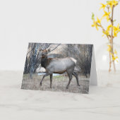 Stier-Elch-Stillstehen Karte (Gelbe Blume)