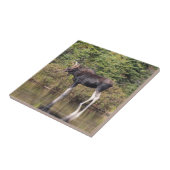 Stier-Elche Fliese (Seite)