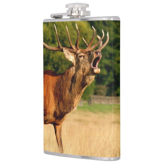 Stier-Elche in der Furche Flachmann (Links)