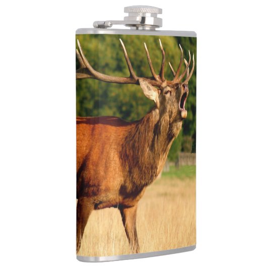 Stier-Elche in der Furche Flachmann (Rechts)