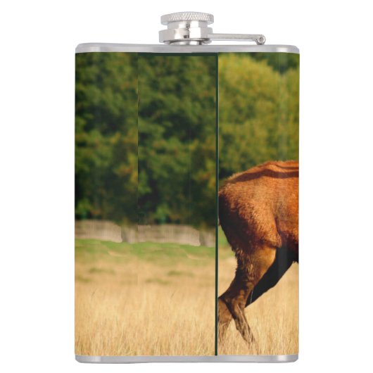 Stier-Elche in der Furche Flachmann (Rückseite)