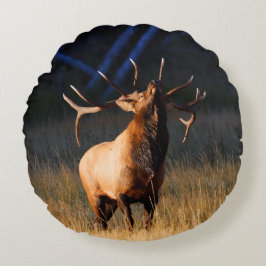 Stier-Elche mit gehen zurück voran Rundes Kissen