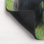 Stier-Elche Mousepad (Ecke)