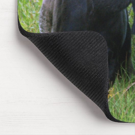 Stier-Elche Mousepad (Ecke)