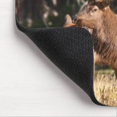 Stier-Elche Mousepad (Ecke)