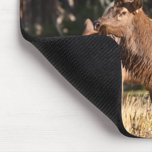 Stier-Elche Mousepad (Ecke)