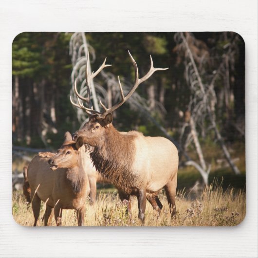 Stier-Elche Mousepad (Vorne)