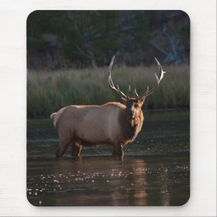 Stier-Elche Mousepad