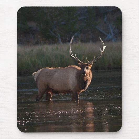 Stier-Elche Mousepad (Vorne)