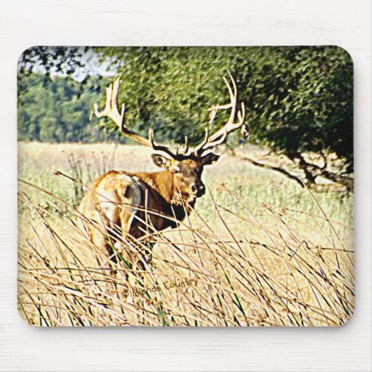 Stier-Elche Mousepad (Vorne)