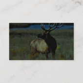 Stier-Elche Visitenkarte (Rückseite)