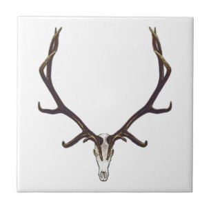 Stier-Elchschädelfarbe Fliese