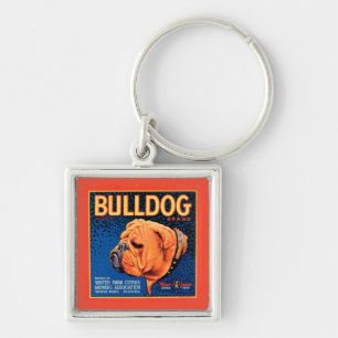 Stier-Hund auf einem blauen Hintergrund Schlüsselanhänger