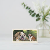 Stier-Hundezüchter-Visitenkarte Visitenkarte (Stehend Vorderseite)