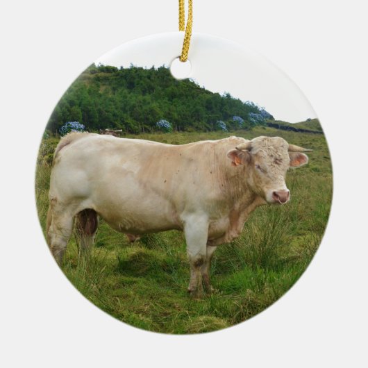 Stier Keramik Ornament (Vorne)