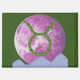 Stier Magnet