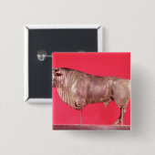 Stier mit drei Hörnern, von Avrigney Button (Vorne & Hinten)