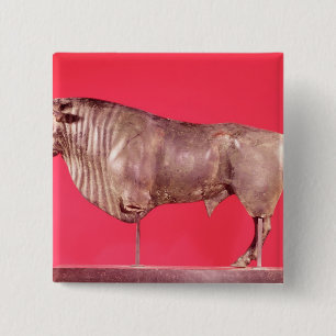 Stier mit drei Hörnern, von Avrigney Button