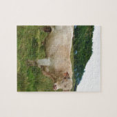 Stier Puzzle (Horizontal)