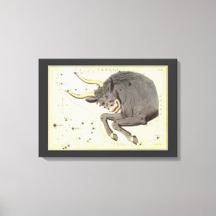 Stier Taurus, Vintage Konstellation Urania's Spieg Leinwanddruck