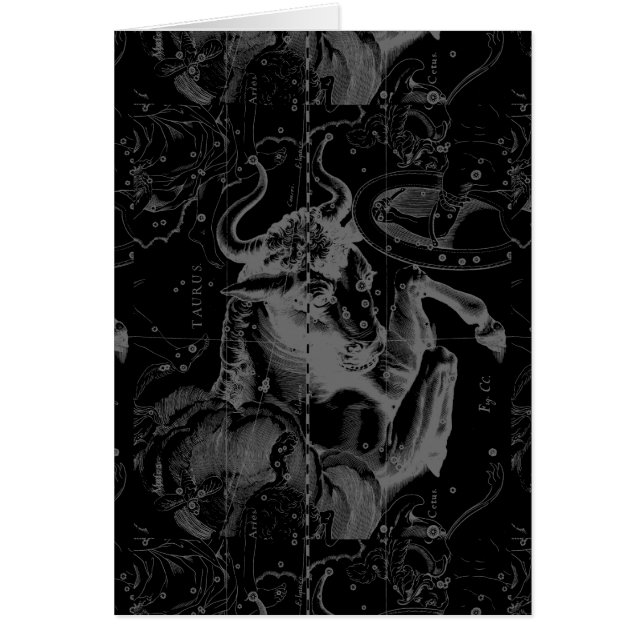 Stier-Zeichen-Konstellation Hevelius circa 1690 (Vorne)