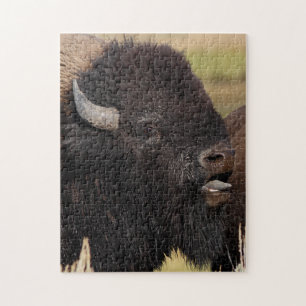 Stierbisonbrummen Puzzle