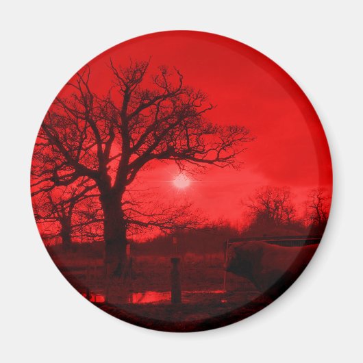 STIERE MAGNET (Vorne)