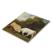 StiereFighting Georges Stubbs |, 1786 (Öl auf Fliese (Seite)