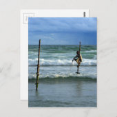 Stierfischer aus Sri Lanka Postkarte (Vorne/Hinten)