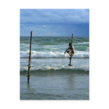 Stierfischer aus Sri Lanka