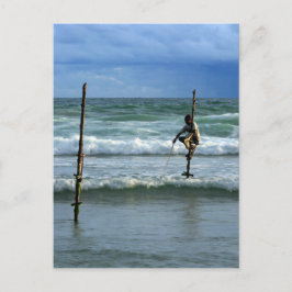 Stierfischer aus Sri Lanka Postkarte